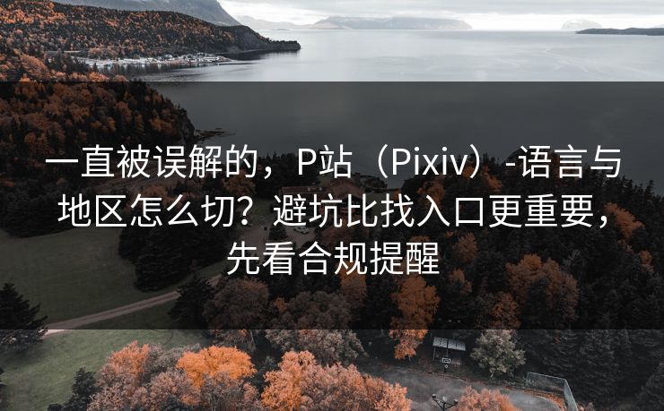 一直被误解的,P站(Pixiv)-语言与地区怎么切?避坑比找入口更重要,先看合规提醒 一直被误解的,P站(Pixiv)-语言与地区怎么切?避坑比找入口更重要,先看合规提醒
