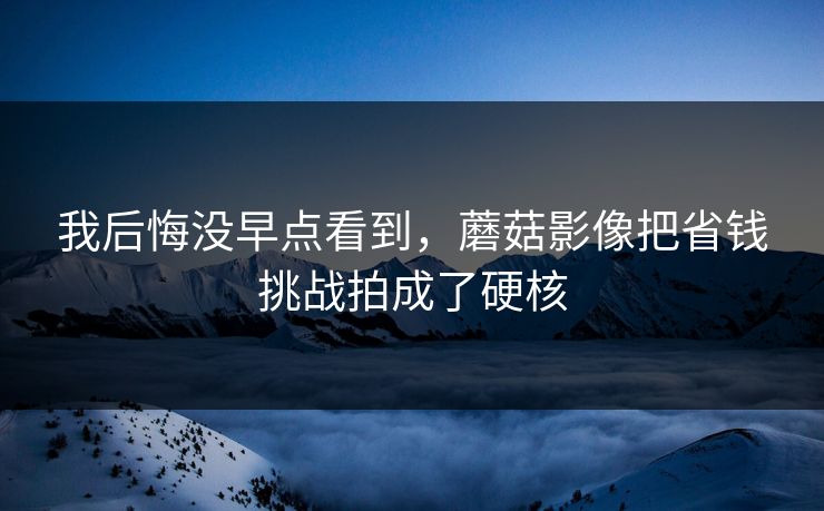 我后悔没早点看到，蘑菇影像把省钱挑战拍成了硬核
